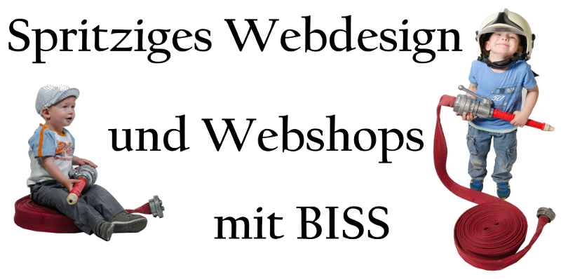 Webdesign mit BISS Webdesign mit BISS